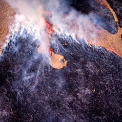 February 2017 (The Wilds)